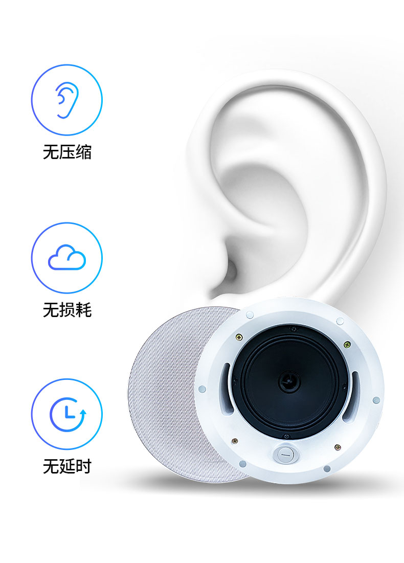別走彎路了，帶您了解一根網(wǎng)線的音箱(圖4)